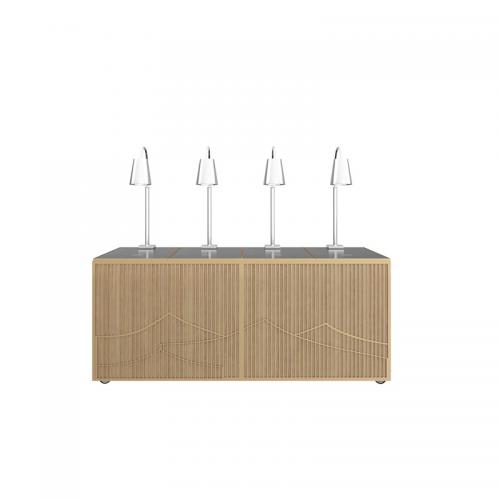 Foldable Inudction Cooking Station with heating lamps