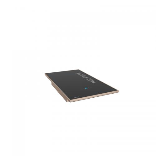 Full Screen Induction Module 1/4 unit